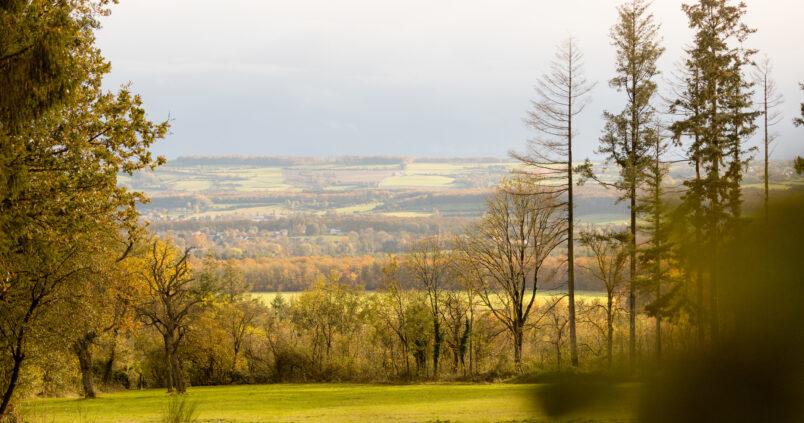 News and cultural events in Famenne Ardenne